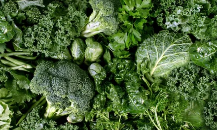 Bahan Pangan Nabati Yang Berwarna Hijau Pada Sayur