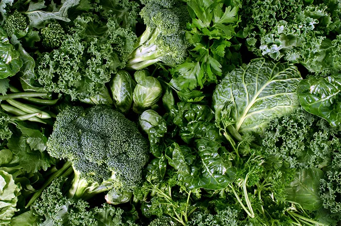 Bahan Pangan Nabati Yang Berwarna Hijau Pada Sayur