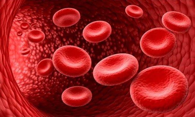 Keping Darah Atau Trombosit Yang Penting Dalam Tubuh