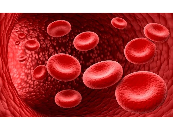 Keping Darah Atau Trombosit Yang Penting Dalam Tubuh