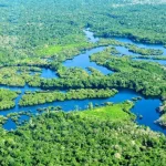 Keberagaman Makhluk Hidup Di Sungai Amazon