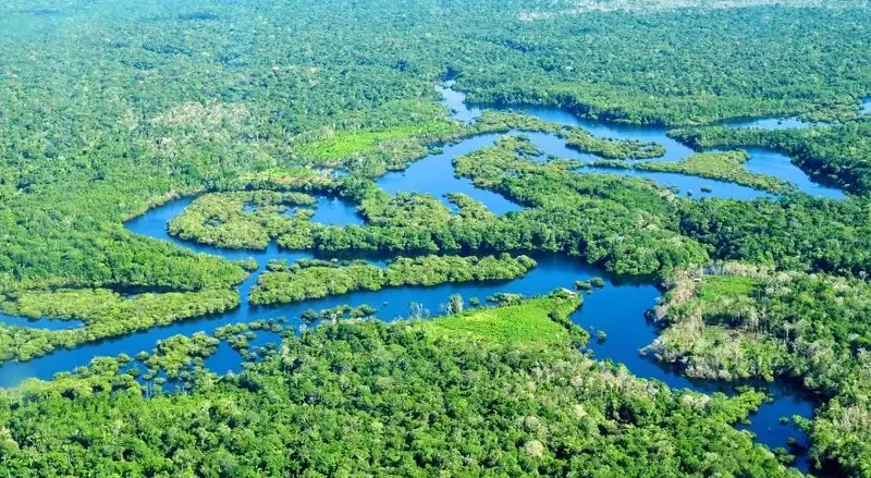 Keberagaman Makhluk Hidup Di Sungai Amazon