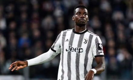 Pemain Handal Prancis Seorang Paul Pogba