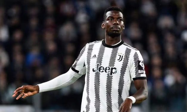 Pemain Handal Prancis Seorang Paul Pogba