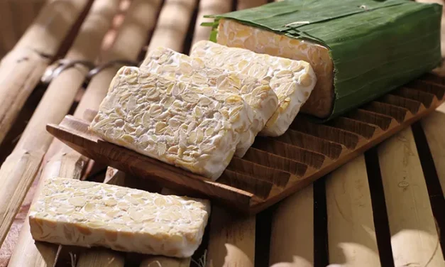 Makanan Olahan Fermentasi Tempe Dengan Kandungan Tinggi