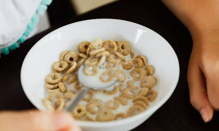 Bahan Pangan Sereal Berupa Biji Sebuah Tanaman