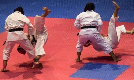 Sebuah Olahraga Kempo Bertujuan Pertahanan Diri