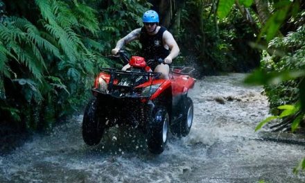 Kendaraan Unik ATV Cocok Segala Jenis Medan